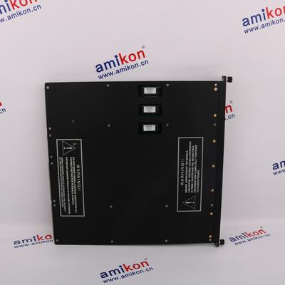 TRICONEX 3603B Distributed Control System (DCS)  | sales2@amikon.cn